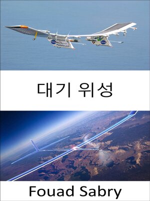 cover image of 대기 위성